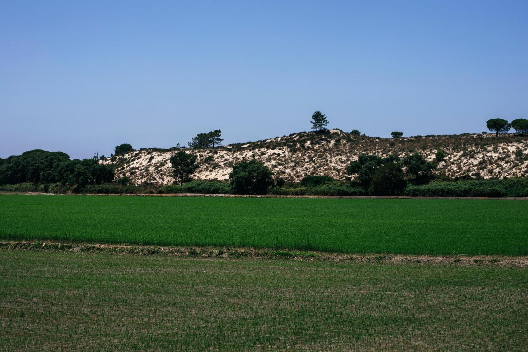Herdade De Montalvo - コンポルタ エクステリア 写真