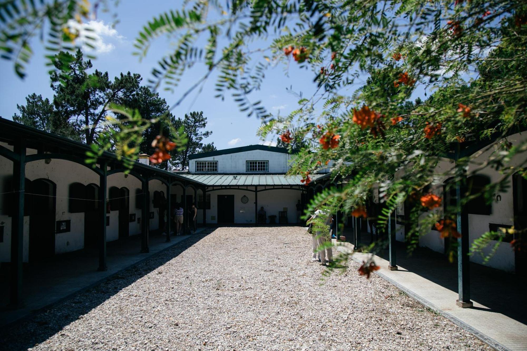 Herdade De Montalvo - コンポルタ エクステリア 写真
