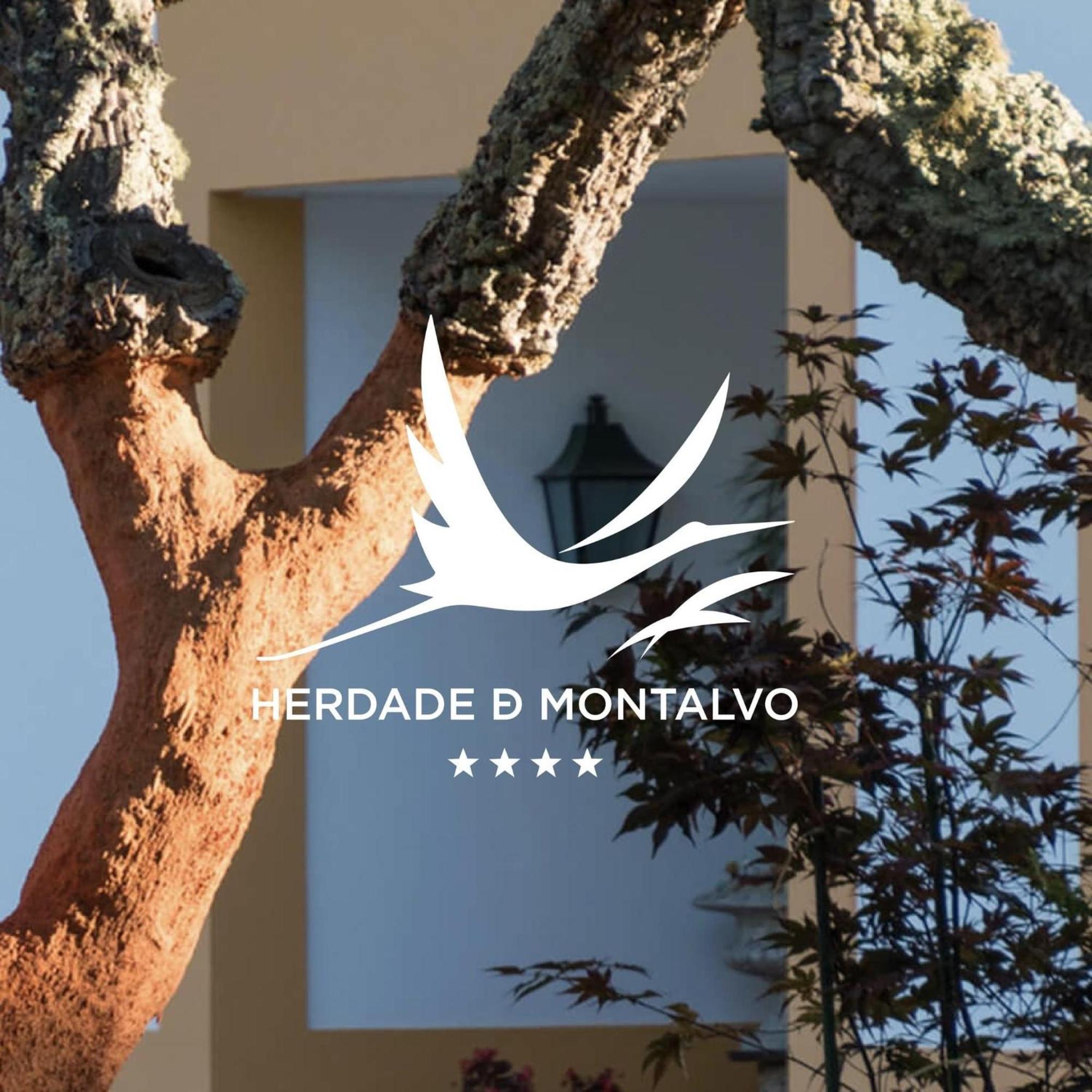 Herdade De Montalvo - コンポルタ エクステリア 写真