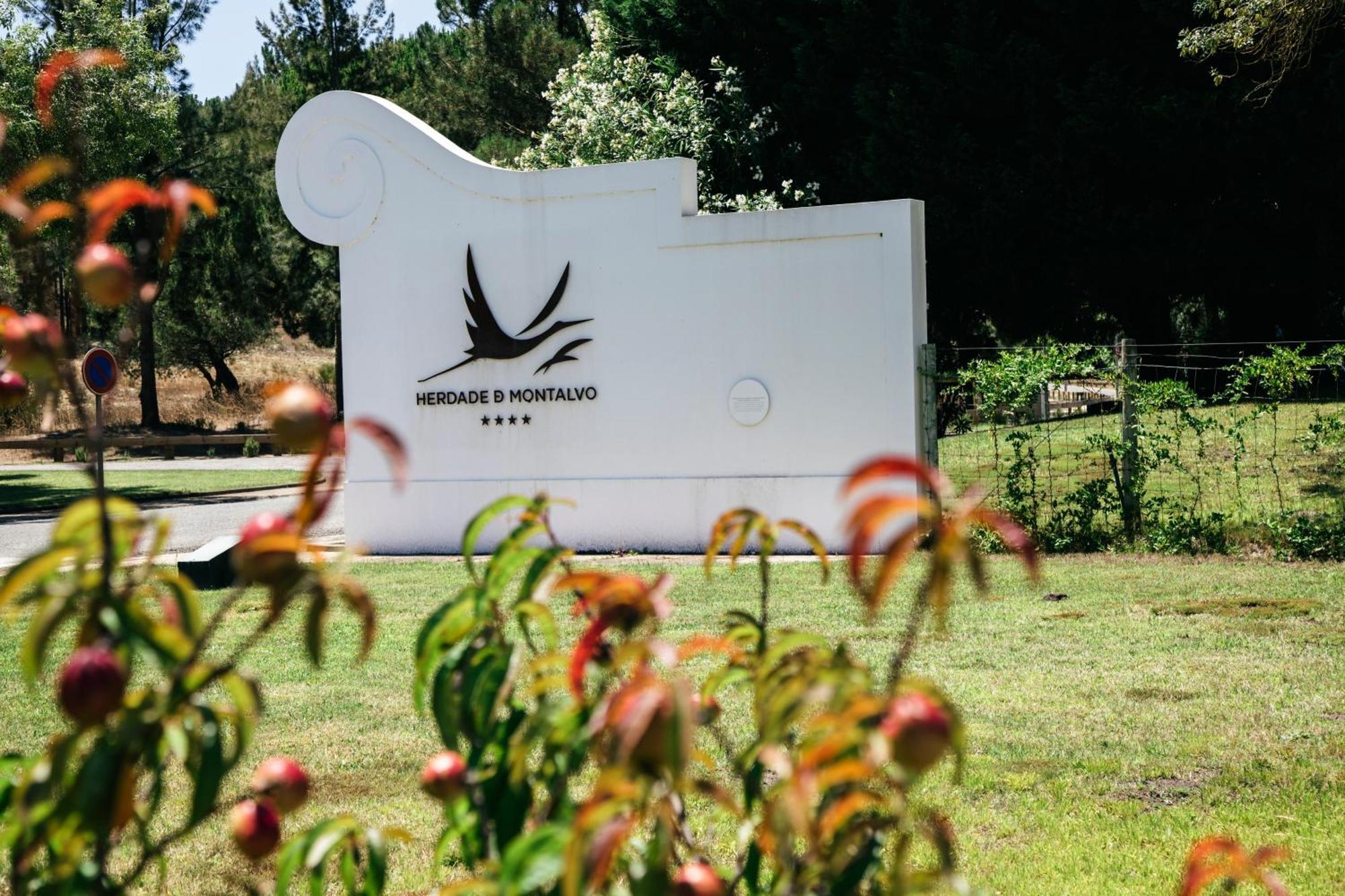 Herdade De Montalvo - コンポルタ エクステリア 写真