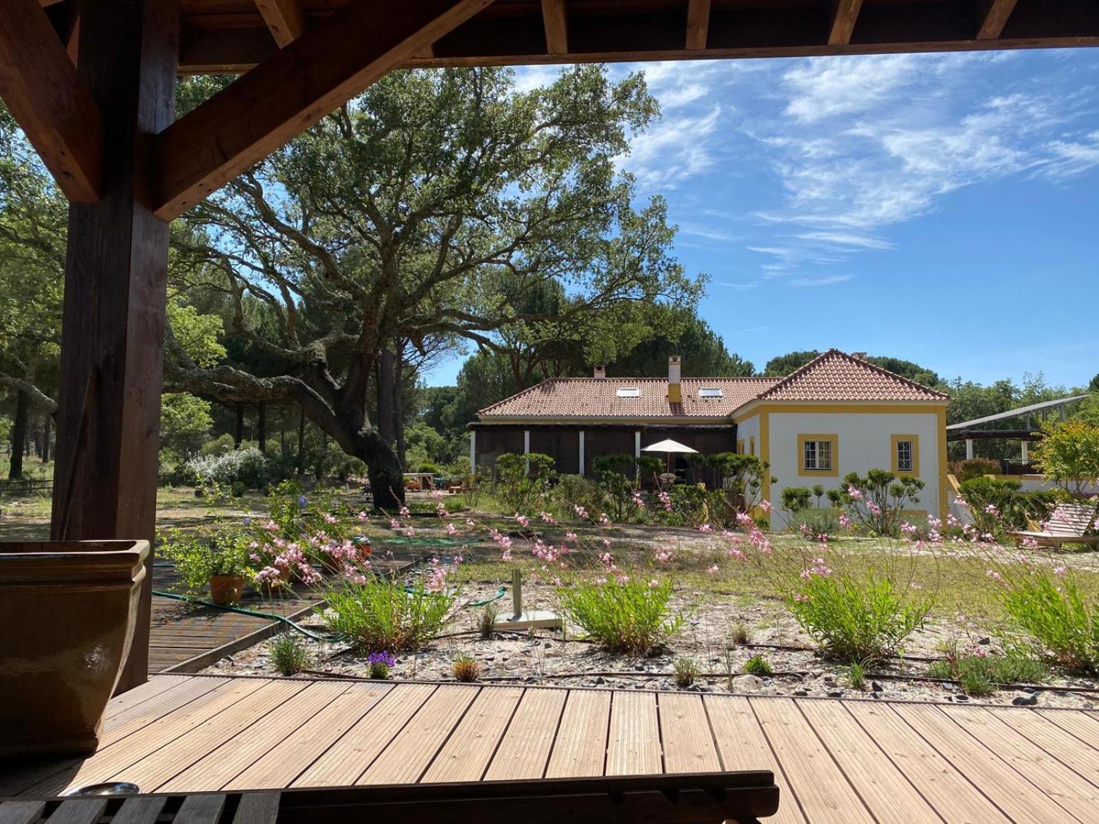 Herdade De Montalvo - コンポルタ エクステリア 写真